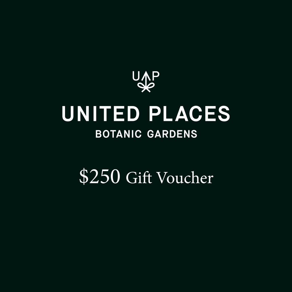 United Places Hotel Botanic Gardens $250 Gift Voucher