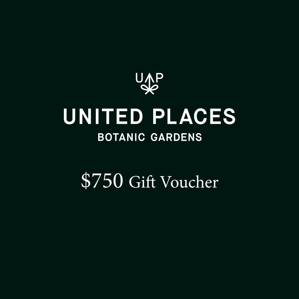 United Places $250 Gift Voucher | Luxury Hotel Melbourne