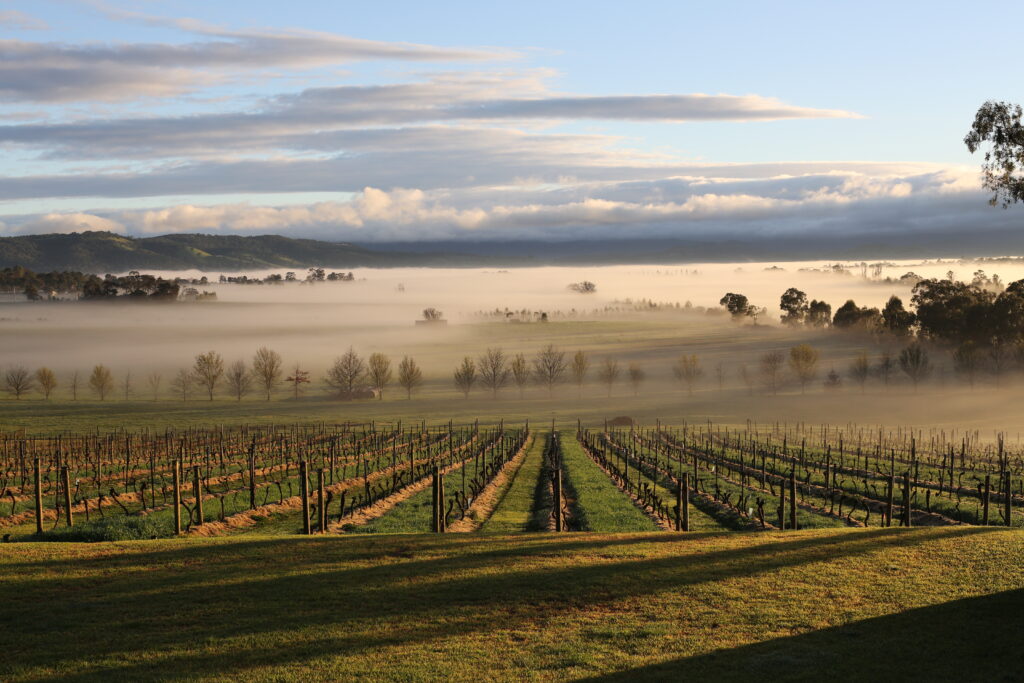 Mount Mary Wines at United Places: An Interview With Winemaker Sam Middleton